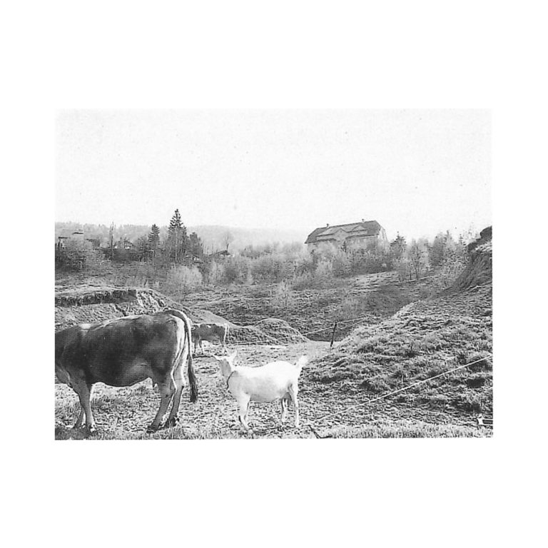 Historisches Foto Dorfschulhaus
